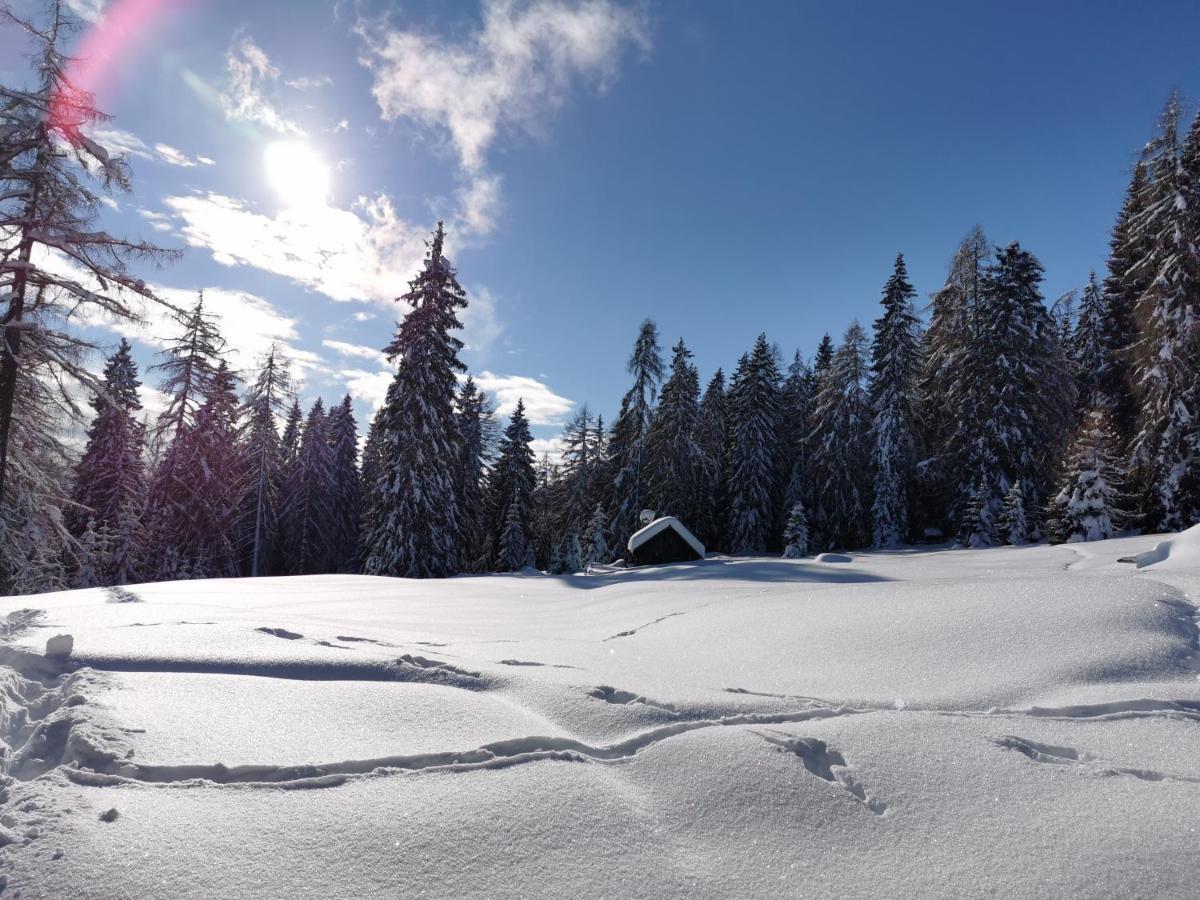 Ferienhaeuser Troester Bad Kleinkirchheim Exterior photo